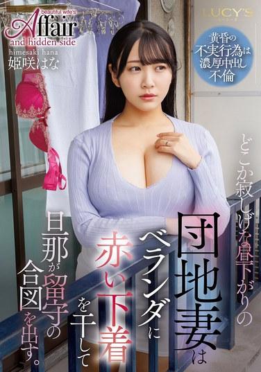 某個略顯寂寞的午後時光，公寓妻子在陽台上晾著紅色的內衣，發出昔日空無一人的信號。公主是……