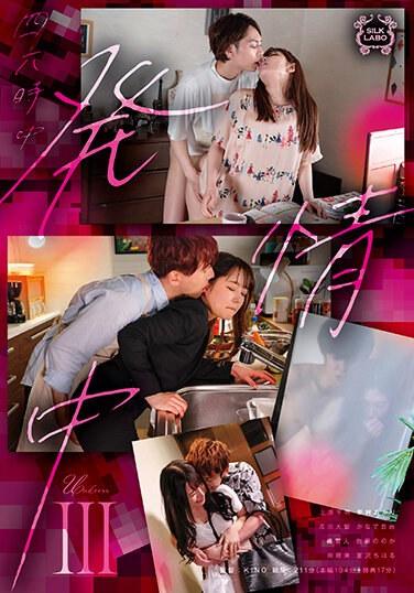 一直在發情Ⅲ - 奏自由